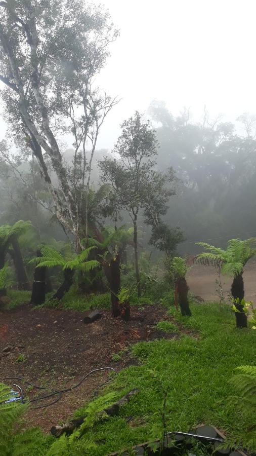 Morada Do Xaxim - Chale Hortencia São Francisco de Paula Dış mekan fotoğraf