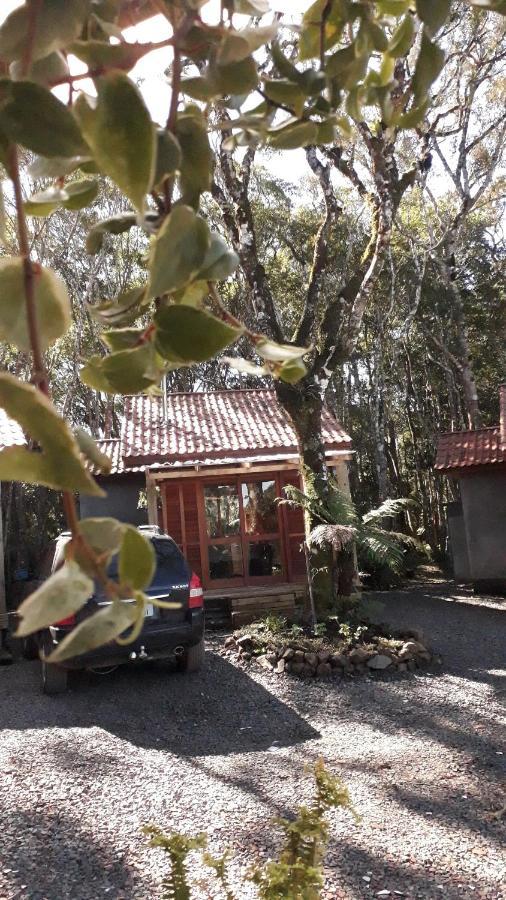 Morada Do Xaxim - Chale Hortencia São Francisco de Paula Dış mekan fotoğraf