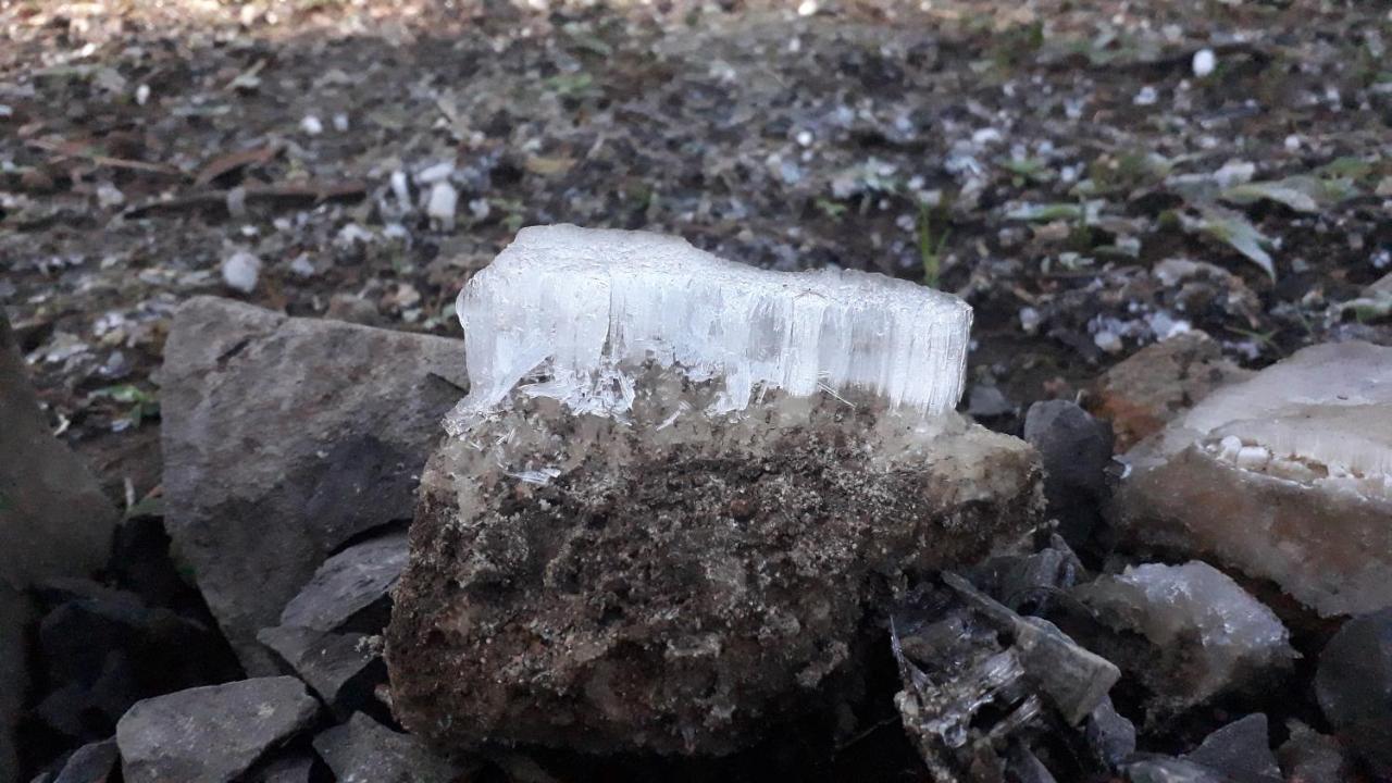 Morada Do Xaxim - Chale Hortencia São Francisco de Paula Dış mekan fotoğraf